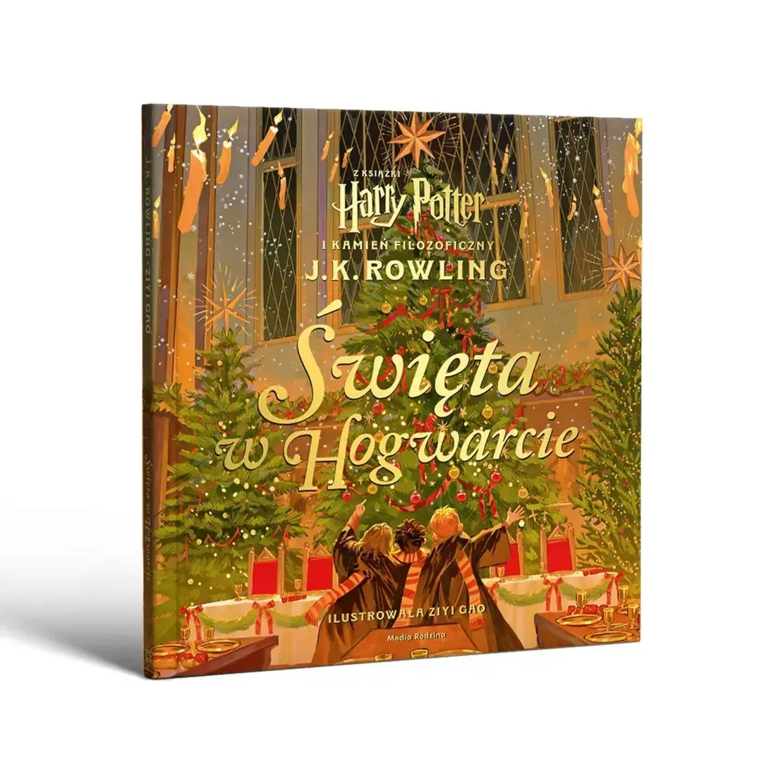 harry-potter-swieta-w-hogwarcie-stan-nowy