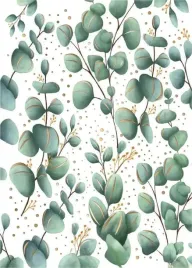 karnet-b8-mini-eukaliptus