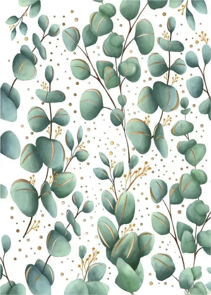 karnet-b8-mini-eukaliptus