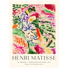 2-x-plakat-40x30-henri-matisse-abstrakcja-boho-sztuka-nowoczesny-reprodukcj