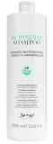 farouk-bh-be-mineral-plumping-shampoo-1000-ml