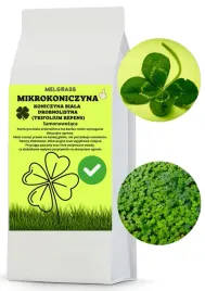 mikrokoniczyna-koniczyna-do-trawnikow-500g-samonawozaca-biala-gesta-trawnik