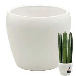 donica-doniczka-biala-oslonka-15-cm-ceramika-szkliwiona-na-kwiaty-dekoracja