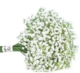 gipsowka-najwyzsza-dostepna-jakosc-gumowane-kwiaty-biala-3-galazki-53-cm