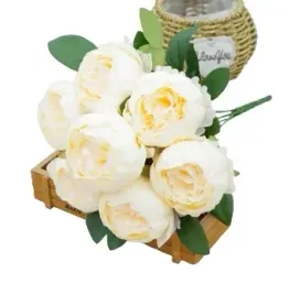 bukiet-piwonia-peonie-champegne-7-kwiatow-duze-paki-piekny-bukiet