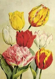 karnet-st508-b6-koperta-tulipany