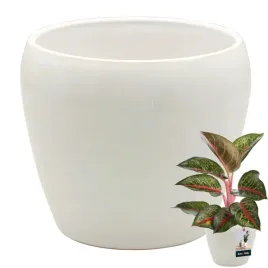 donica-doniczka-biala-oslonka-12-cm-ceramika-szkliwiona-na-kwiaty-dekoracja