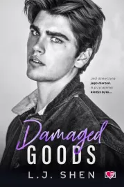 all-saints-high-t-4-damaged-goods