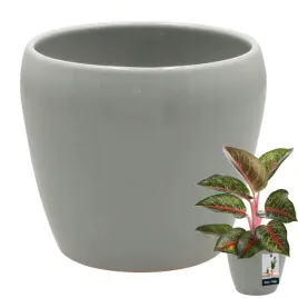 donica-doniczka-szara-oslonka-12-cm-ceramika-szkliwiona-na-kwiaty-dekoracja