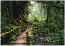 fototapeta-drzewa-3d-droga-w-lesie-natura-na-sciane-sypialnia-salon-300x210