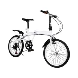 20-wioslarz-skladany-bialy-model-folding-bike