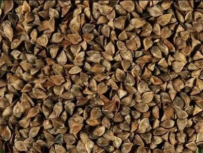 gryka-nasiona-25kg-styl-ogrod-wiejski