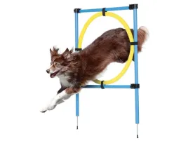 zoofari-akcesoria-do-treningu-agility-dla-psa