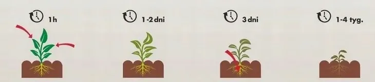 preparat-chwastobojczy-target-250-ml-waga-z-opakowaniem-0-3-kg