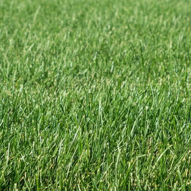 preparat-chwastobojczy-target-250-ml-stan-nowy-zastosowanie-przeciwko-chwastom