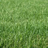 preparat-chwastobojczy-target-250-ml-stan-nowy-zastosowanie-przeciwko-chwastom