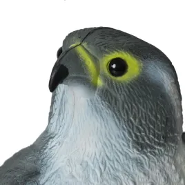 2-x-odstraszacz-ptakow-sokol-jastrzab-40cm-realistyczny-na-golebie-i-szpaki