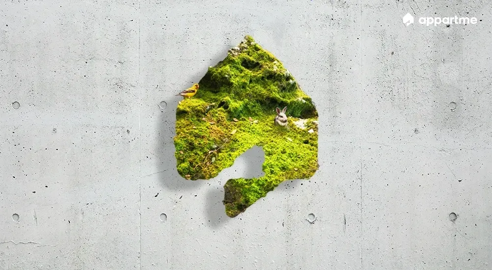 glowica-termostatyczna-zigbee-wifi-eko-android