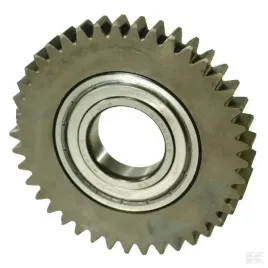 427276-kolo-zebate-z-41