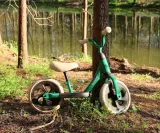 qplay-rowerek-biegowy-trainer-green-rozmiar-kola-w-calach-10