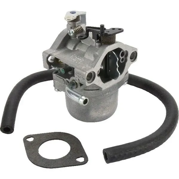 590399-gaznik-briggs-and-stratton-rodzaj-gaznik