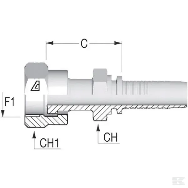 pav1316-koncowka-dn13-1-orfs
