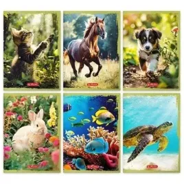 zeszyt-a5-16k-linia-podwojna-animals-20szt