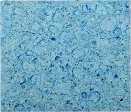 gabka-do-stacji-lutow-50x45mm-3-szt-yato-yt-82467