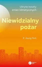 niewidzialny-pozar-ukryte-koszty-zmian