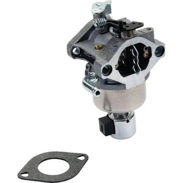594593-gaznik-briggs-and-stratton