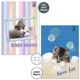 zeszyt-a5-32k-kratka-90g-bf-cats-10szt