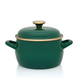 garnek-emaliowany-tradycyjny-z-pokrywa-metalac-54l-22-cm-zielony-green