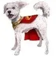 superman-film-interaktywny-krypto