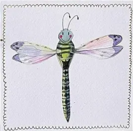 karnet-s519-wazka