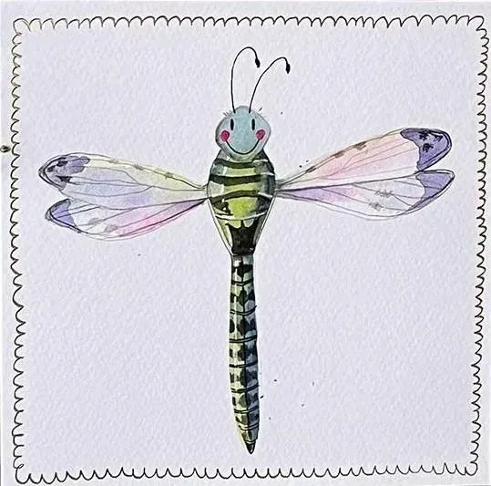 karnet-s519-wazka