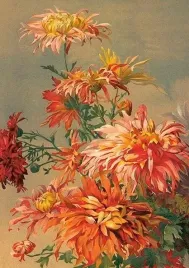 karnet-st493-b6-koperta-pomaranczowa-dalia
