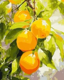 malowanie-po-numerach-soczyste-cytryny-40x50cm