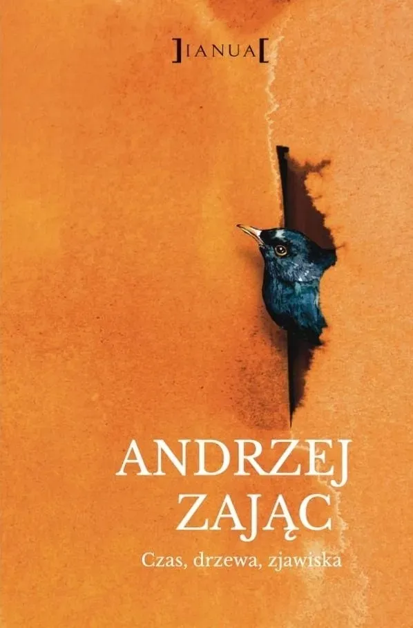 czas-drzewa-zjawiska