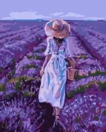 malowanie-po-numerach-pole-lawendy-40x50cm