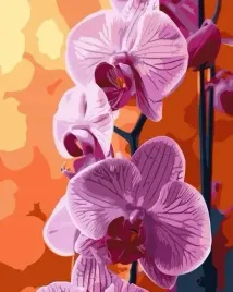 malowanie-po-numerach-orchidea-40x50cm