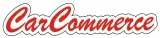 kolpak-cosmos-15-srebrny-stan-nowy