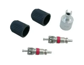 zestaw-do-zaworow-av-schrader-wentyl-samochodowy