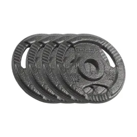 obciazenie-zeliwne-zestaw-4x1-25kg-6kg-otwor-31mm-talerz-z-uchwytami-rebel