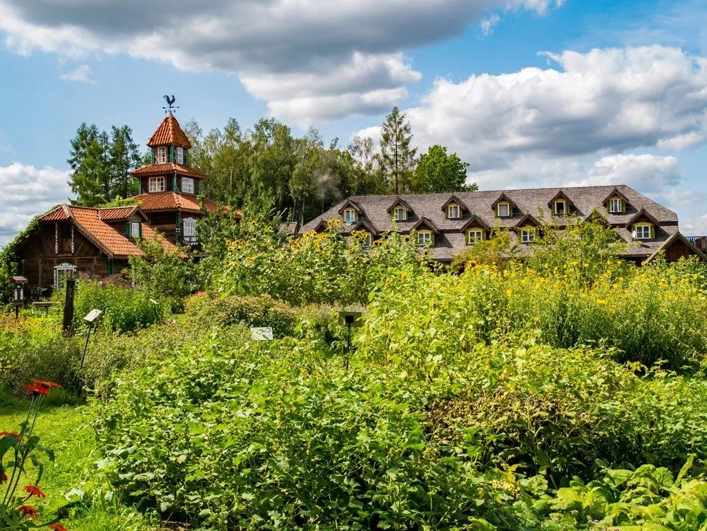 kolendra-dary-natury-20-g-marka-dary-natury