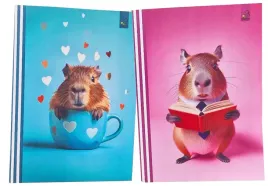 zeszyt-a5-3-linia-kolorowa-kapibara-powloka-touch-w-trzylinie-kolorowa