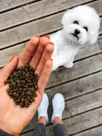 karma-natures-protection-dla-maltanczykow-15-kg-stop-zaciekom-jagniecina