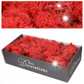 mech-chrobotek-500g-czerwony-naturalny-reniferowy-stroik-dekoracja-ozdobny