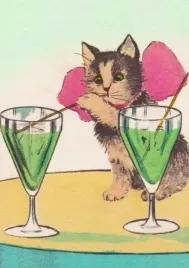 karnet-b6-z-koperta-kot-i-drinki