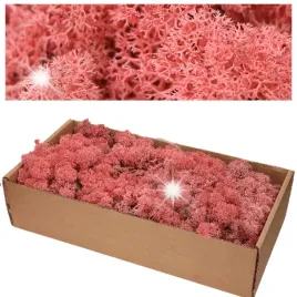 mech-chrobotek-500g-rozowy-naturalny-reniferowy-stroik-dekoracja-ozdobny
