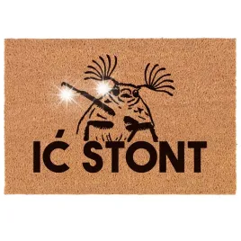 ic-stont-wycieraczka-drzwi-wejsciowe-60x40-prezent
